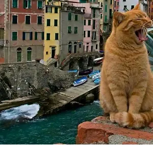 Stella Di Rio Appartamento Riomaggiore